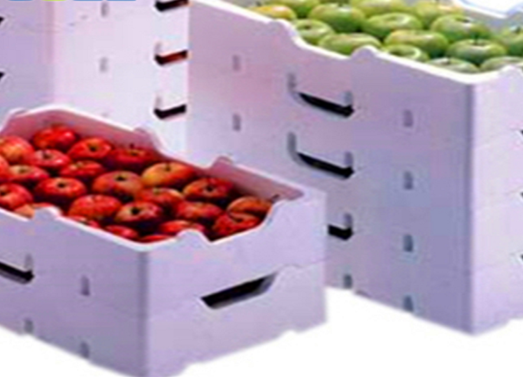 Vegetable and Fruit Box Mould