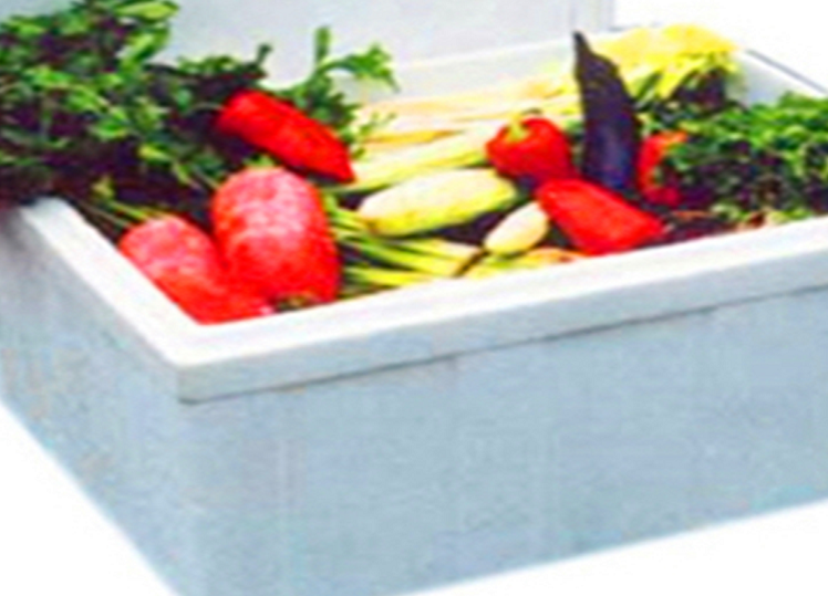 Vegetable and Fruit Box Mould